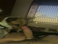 Dog xxx loves sucking a big dick